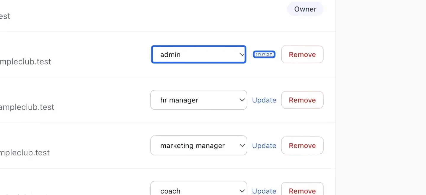 Screenshot: Update an existing role. The blue outlines identify the controls described in this step.