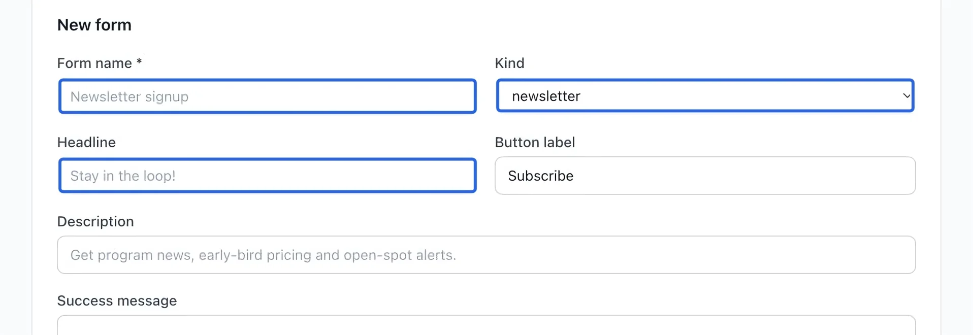 Screenshot: Create a lead form. The blue outlines identify the controls described in this step.
