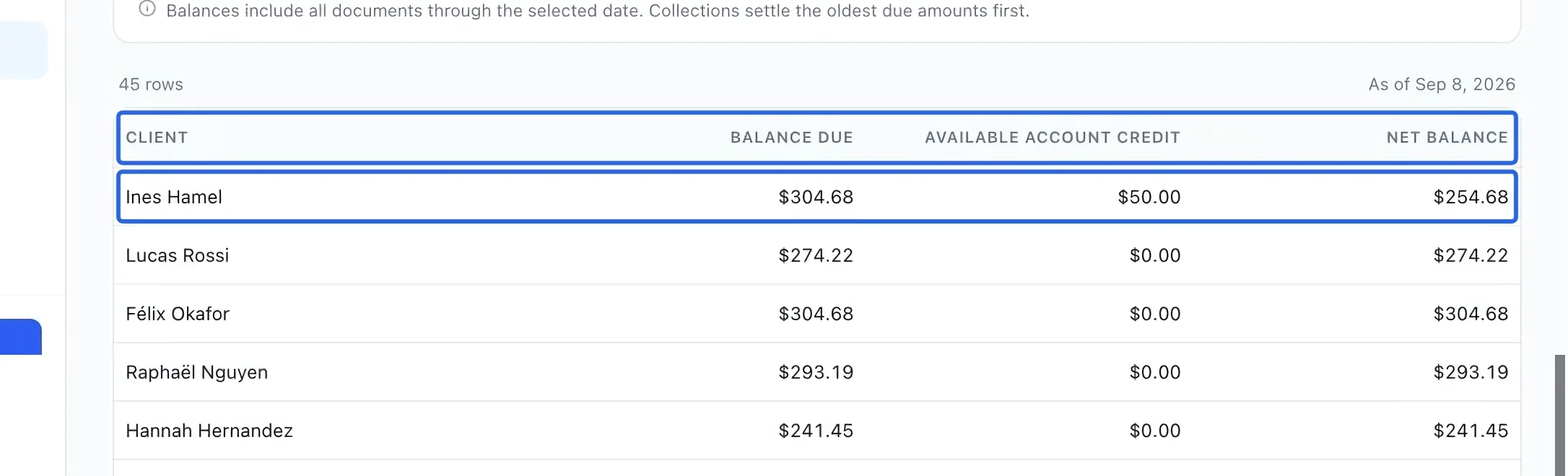 Screenshot: Separate debt from available credit. The blue outlines identify the controls described in this step.