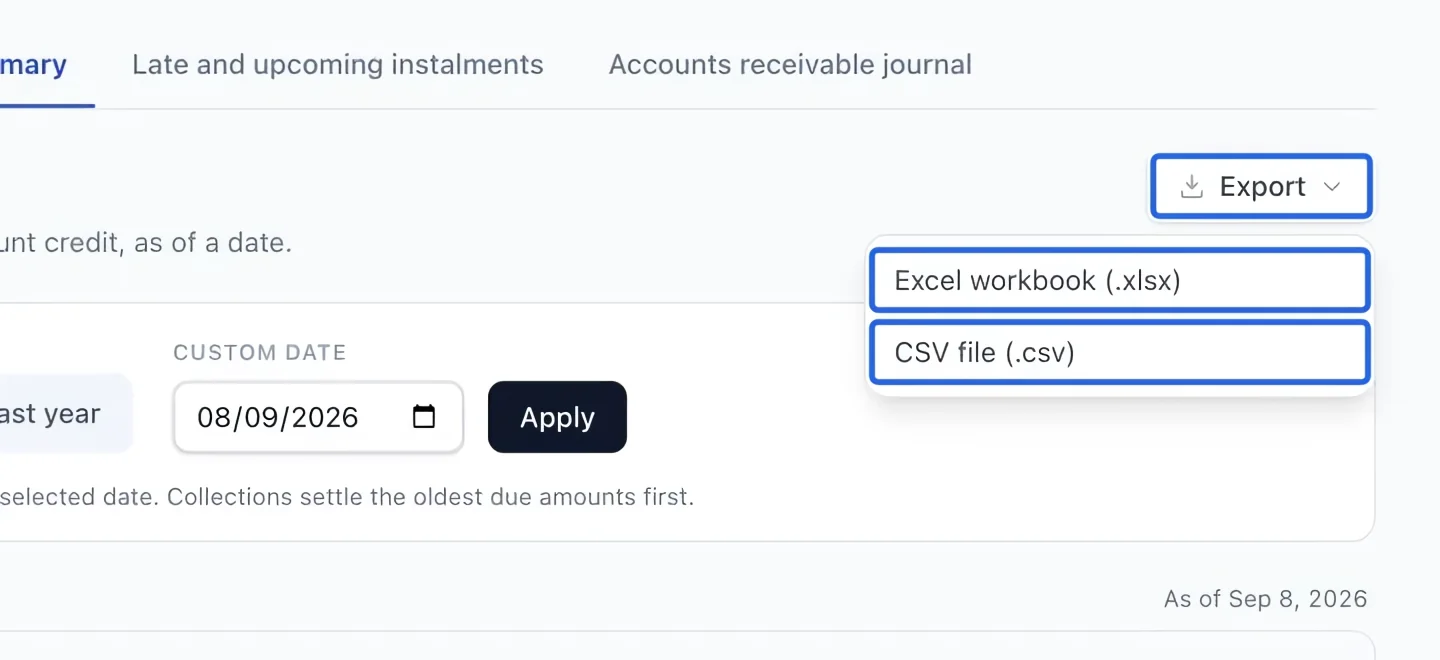 Screenshot: Export the filtered report. The blue outlines identify the controls described in this step.
