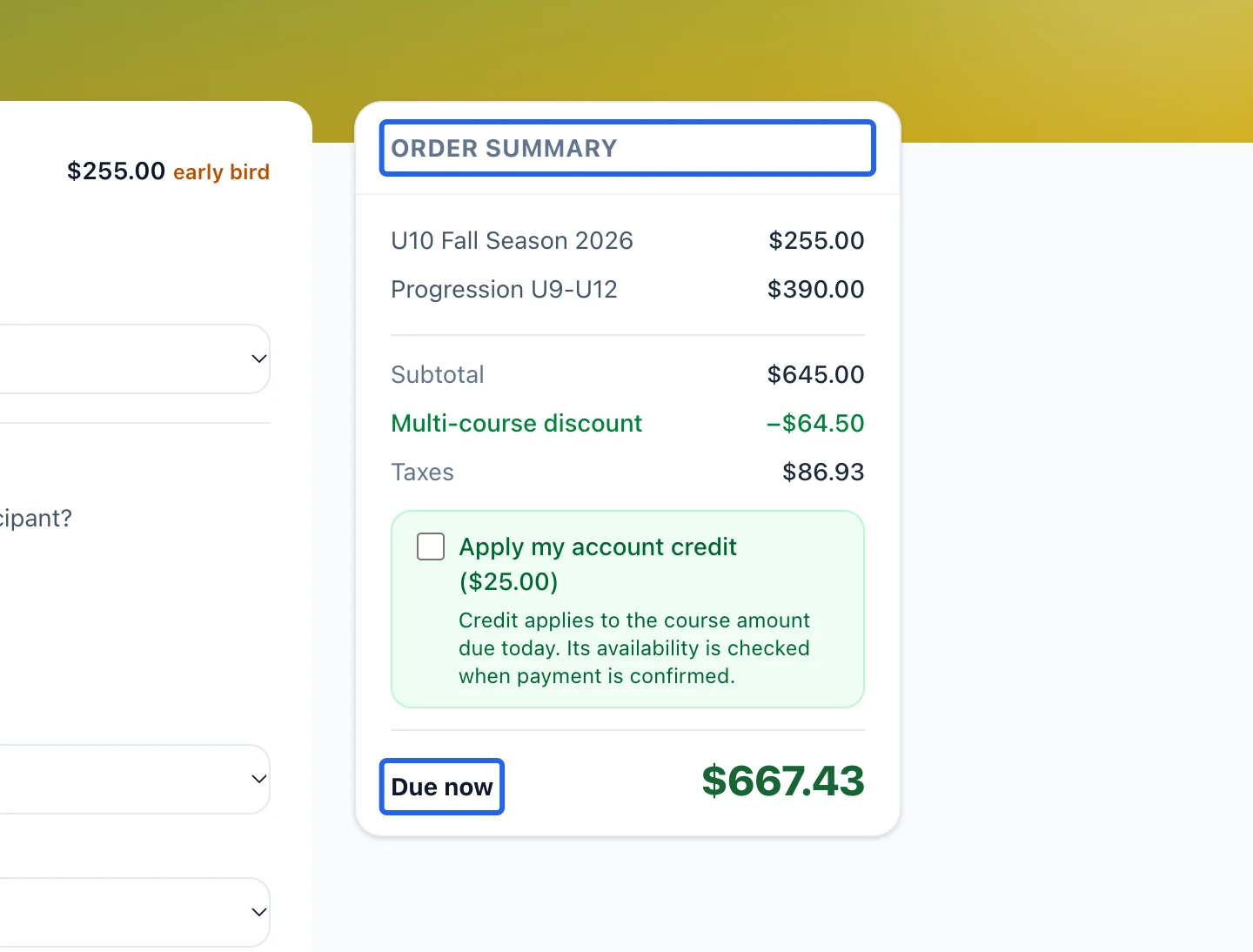 Screenshot: Review the total and finish registration. The blue outlines identify the controls described in this step.