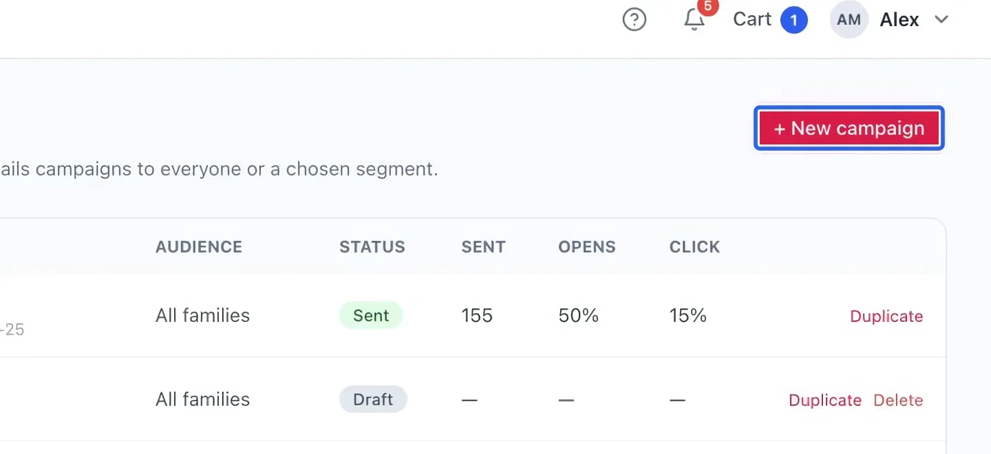 Screenshot: Create a campaign. The blue outlines identify the controls described in this step.