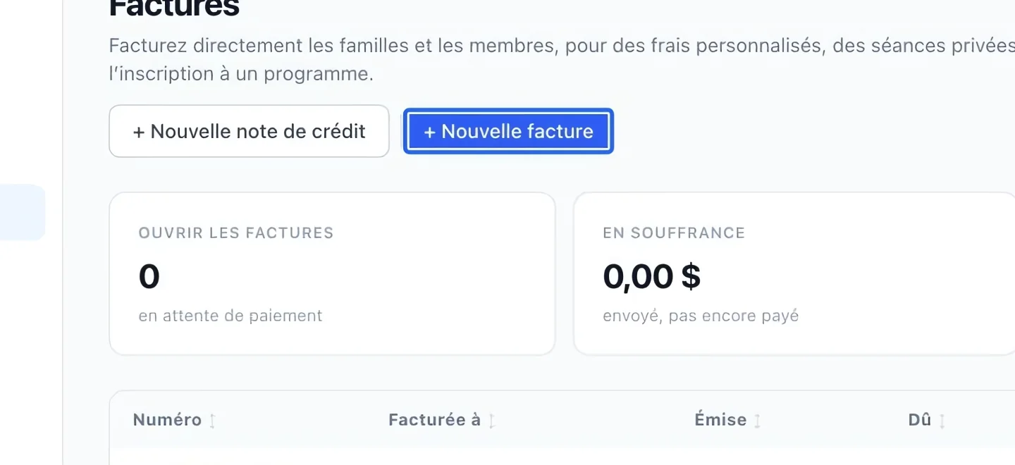 Capture : Commencer une facture. Les cadres bleus indiquent les commandes décrites dans cette étape.
