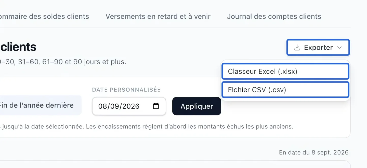 Capture : Exporter le rapport filtré. Les cadres bleus indiquent les commandes décrites dans cette étape.