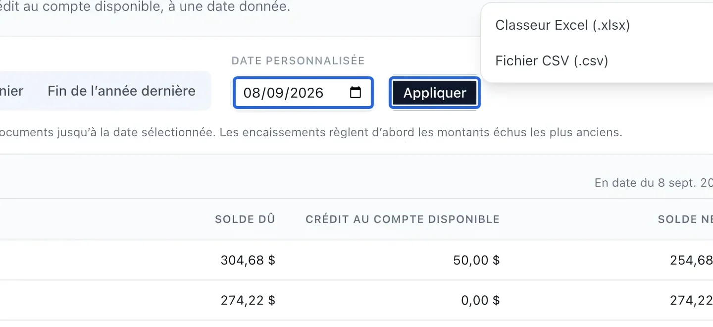 Capture : Choisir la date du solde. Les cadres bleus indiquent les commandes décrites dans cette étape.