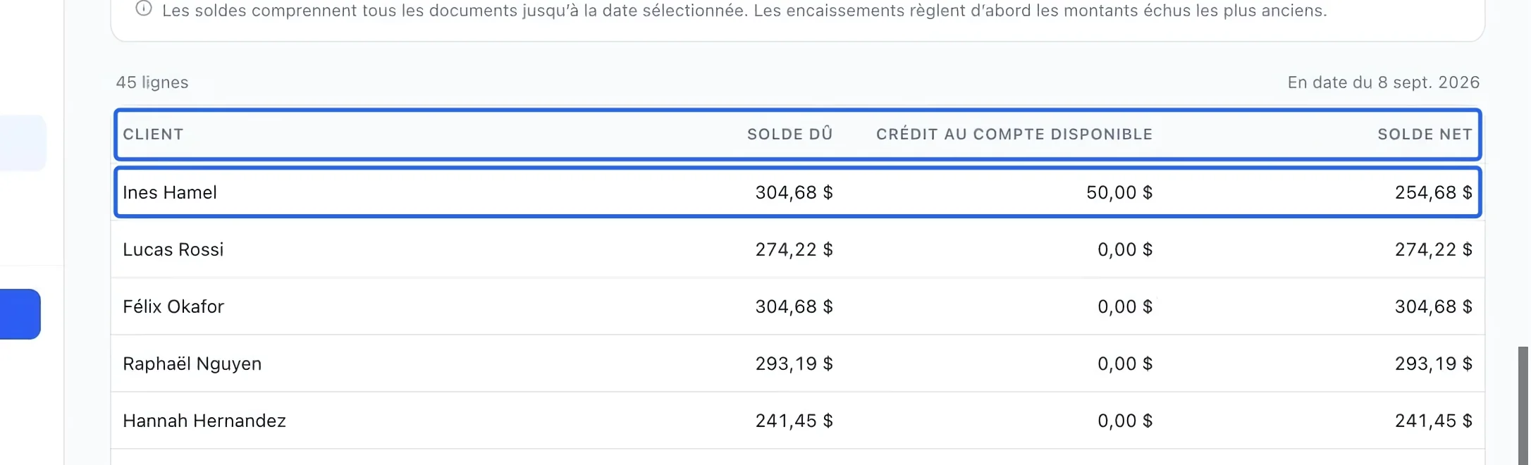 Capture : Distinguer la dette du crédit disponible. Les cadres bleus indiquent les commandes décrites dans cette étape.