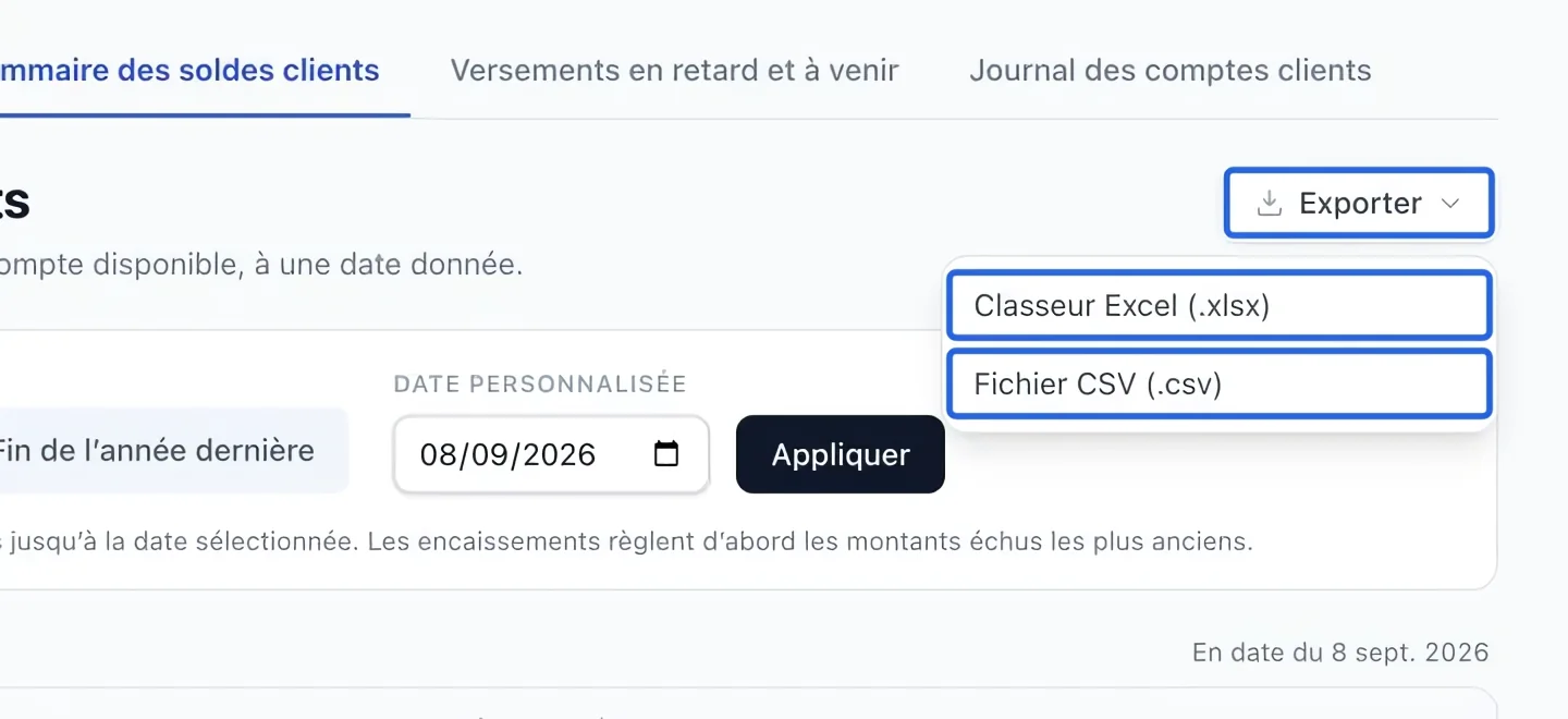 Capture : Exporter le rapport filtré. Les cadres bleus indiquent les commandes décrites dans cette étape.