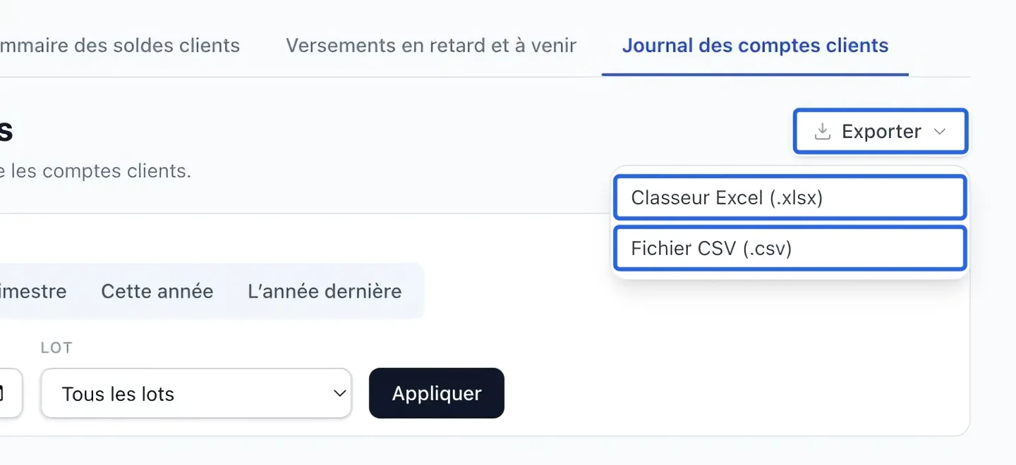 Capture : Exporter le rapport filtré. Les cadres bleus indiquent les commandes décrites dans cette étape.