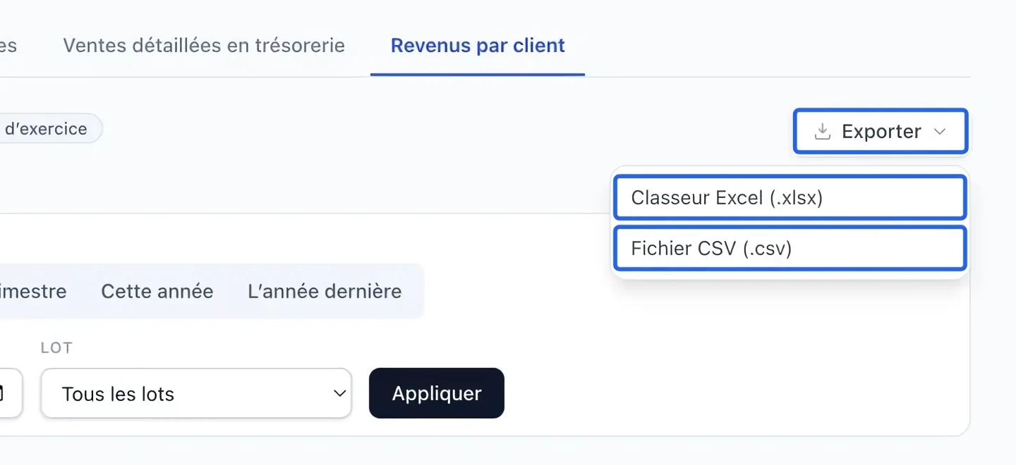 Capture : Exporter le rapport filtré. Les cadres bleus indiquent les commandes décrites dans cette étape.
