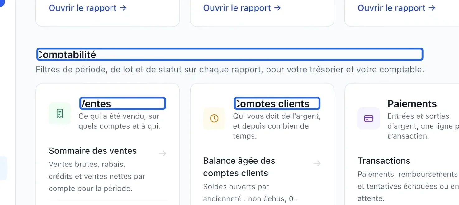 Capture : Choisir un rapport financier. Les cadres bleus indiquent les commandes décrites dans cette étape.