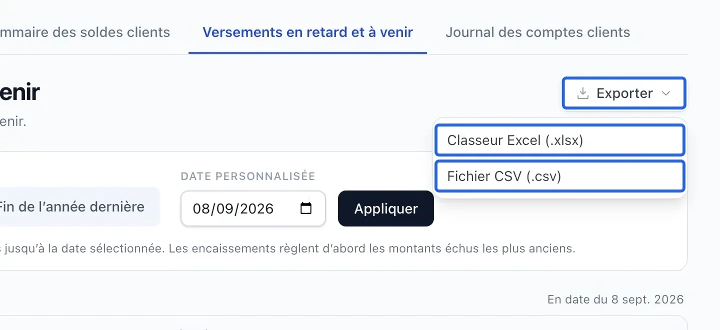 Capture : Exporter le rapport filtré. Les cadres bleus indiquent les commandes décrites dans cette étape.
